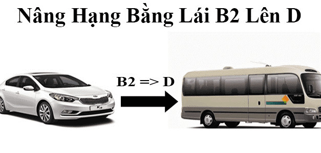 KHÓA HỌC NÂNG HẠNG TỪ B2 LÊN D